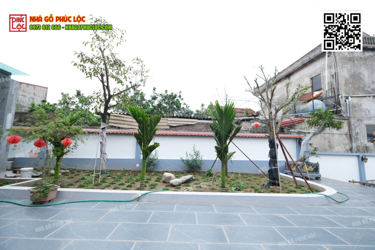 Các loại cau cảnh thường được trồng trước nhà gỗ truyền thống